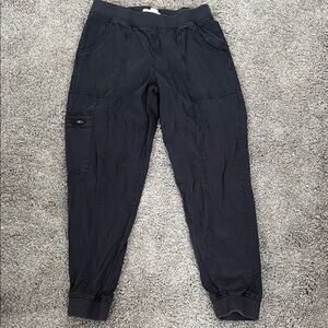 C&C California Dark Navy Cargo Pants